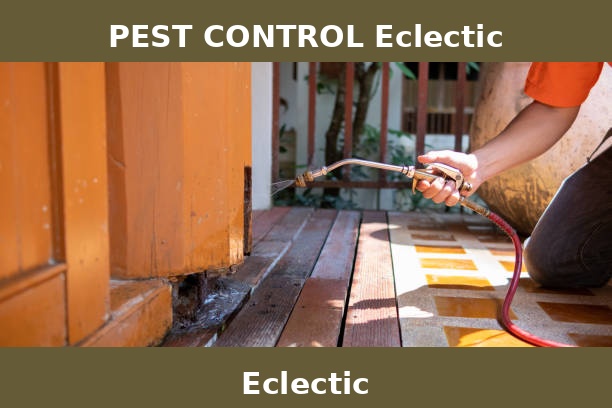 PEST CONTROL Eclectic